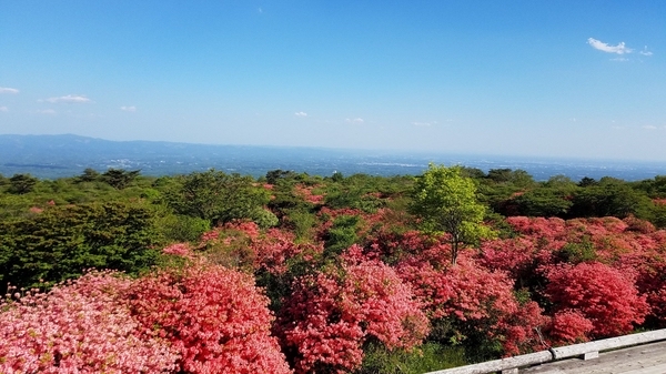 散歩道もあり素敵な時間が過ごせる 那須高原の宿　山水閣