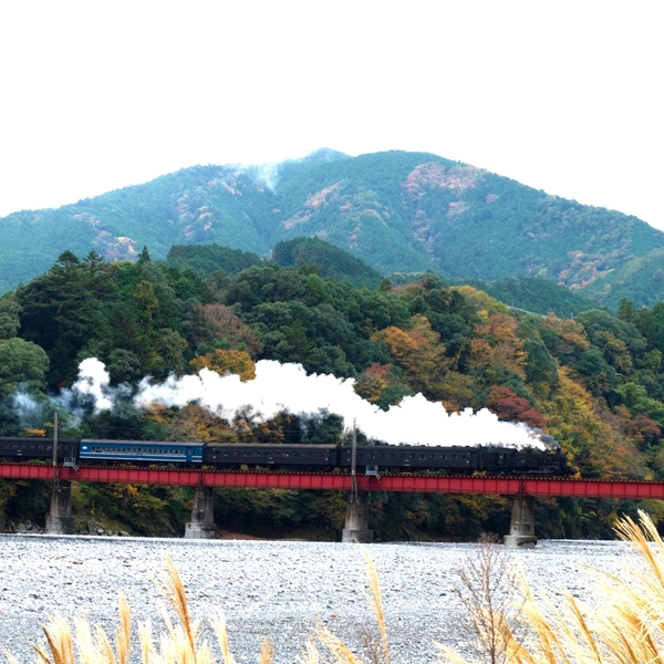 走るSLが見える 大井川鐵道　川根温泉ホテル